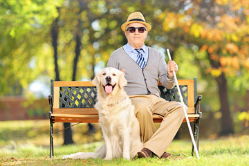 a blind man sitting on a park bench with cane and dog